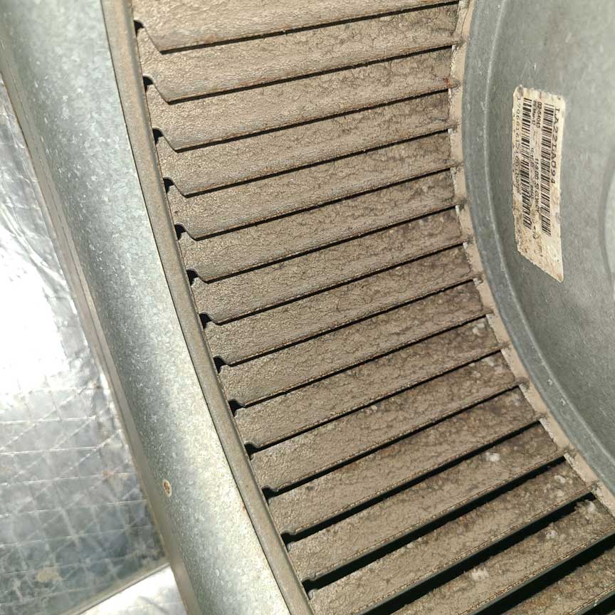Build up on furnace blower wheele